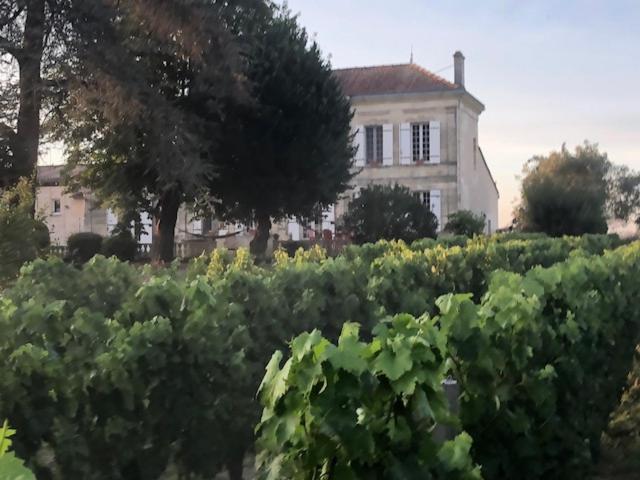 Bed and Breakfast Chateau Couchebout Pugnac Exteriér fotografie